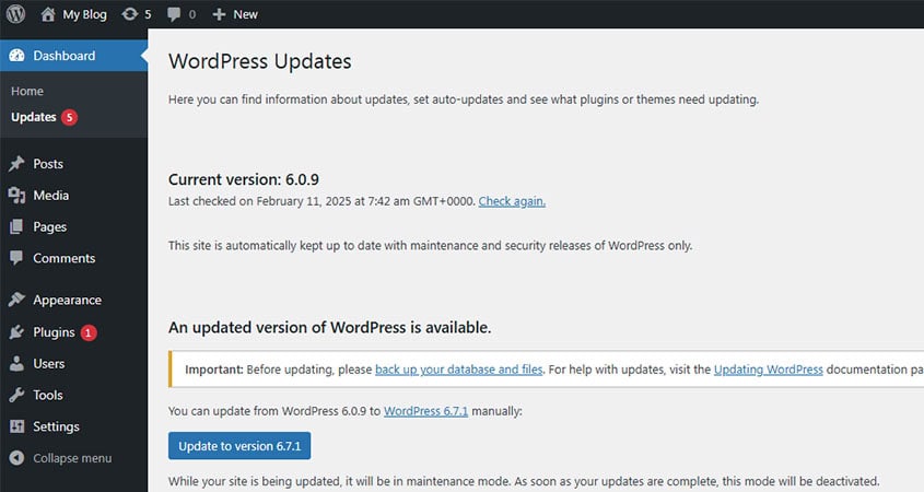 update wordpress website software